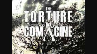 The Torture of Comacine - A Beautiful Example