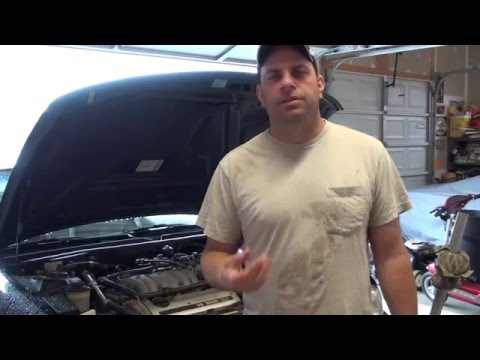 Transmission Fluid Change - Nissan Maxima/Infinity 4th gen - Amsoil