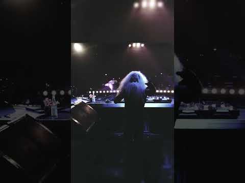 Liebe Auf Der Rückbank!