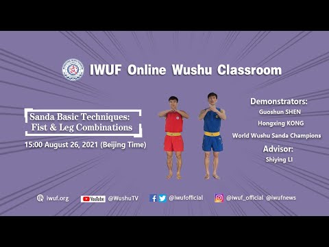 Sanda Basic Techniques:  Fist & Leg Combinations