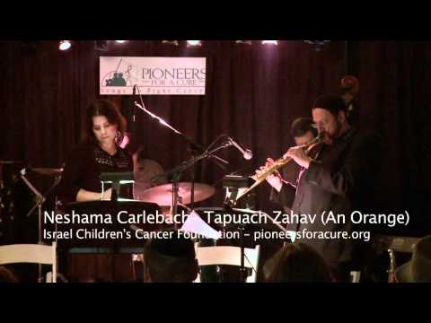 Neshama Carlebach - Tapuach Zahav (An Orange)