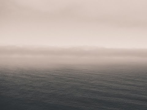 Carole Maso: The Bay of Angels