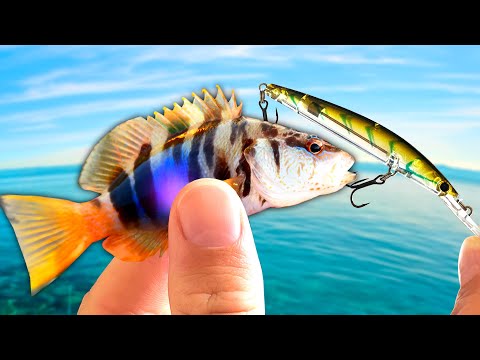 Ultra-Light Lure Fishing in the Adriatic Sea