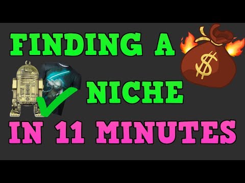 FINDING A PROFITABLE NICHE LIVE IN 11 MINUTES
