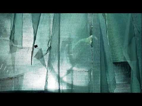 Nightwish - Taikatalvi + Storytime @ Zenith Nantes - 2012-04-18