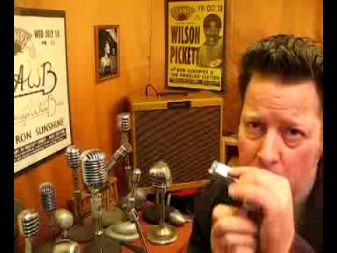 Shure Controlled Magnetic Transducer Element Bullet Harp Mic Cartridge 99S556