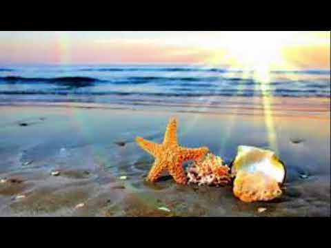 Tina - Summertime ft. Gyptian