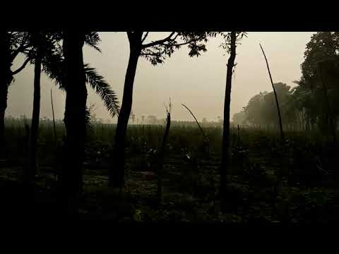 Beauty of nature Bangladesh in winter season/ Nazmul & Rajib