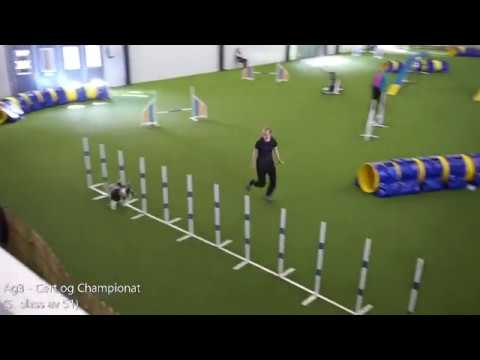 Härryda Hundarena 🇸🇪 - 06./07.07.19 (Sky)