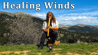 Healing Winds - Native American Flute Song for Meditation