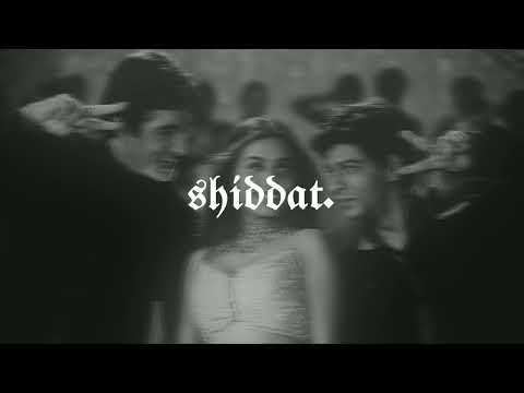 say "shava shava", udit narayan, alka yagnik, amitabh bachchan & others (slowed+reverb)