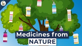 Lifesaving Medicines Made From Plants You