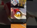 Screaming McDonald S Fries Vs SEAGULL Herring Gull Shorts Mcdonalds Seagull