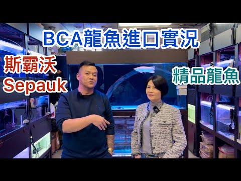 生龍水族