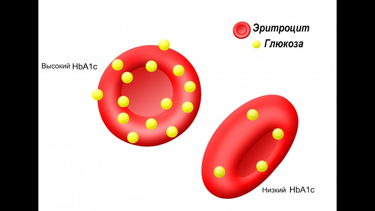 Мирана секс дота 2