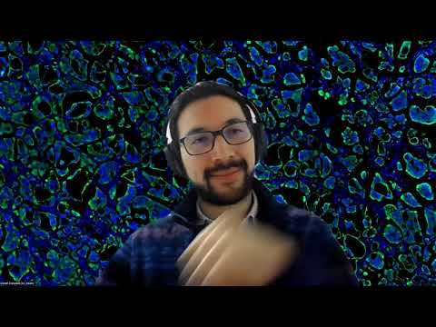 I2K 2020 tutorial: Developing your own Icy plugins