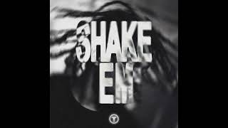 Download lagu TroyBoi - SHAKE'EM mp3