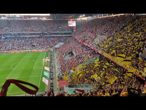 23.08.2019 Köln - BvB Dortmund 1-3 Stimmung 4K