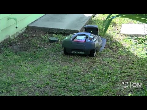 Couple launches business with robotic lawn mower