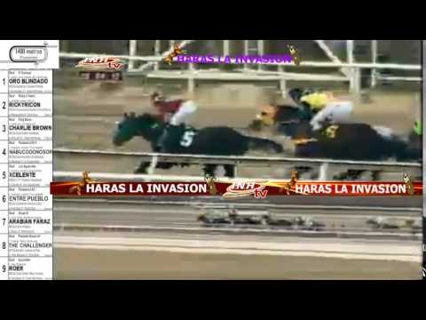 LA RINCONADA 9 CARRERA, SABADO 25 DE ABRIL DEL 2015