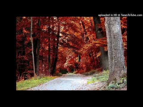 Out Of Nowhere - Marty Gold And His Orchestra (1961) - Autumn Edition!