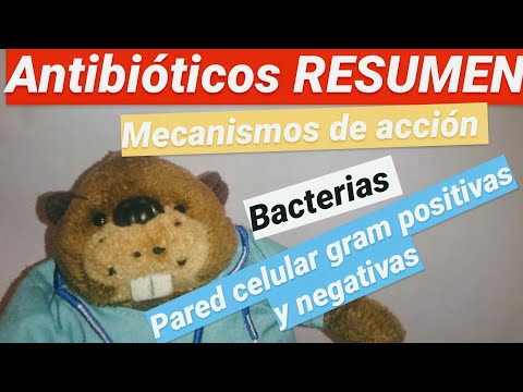 Learn all about antibiotics: general information, easy summary, and their mechanisms of action