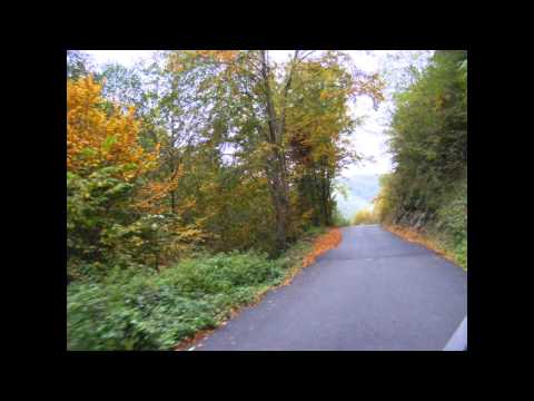 DJ 706, de la Ilia la Tebea