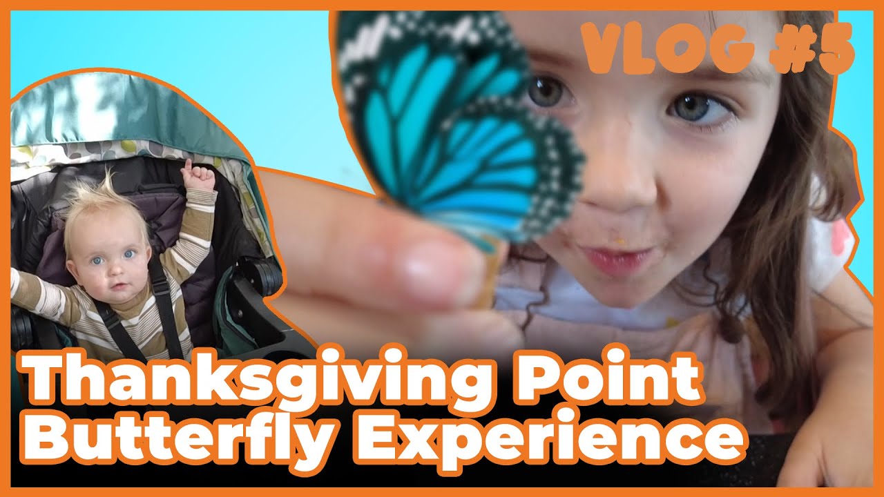 Thanksgiving Point Butterfly Experience - Fisco Frenzy Vlog #5