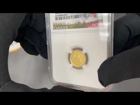 2022 Canada 1/10 oz Gold The Majestic Polar Bear Coin NGC MS 70 ER