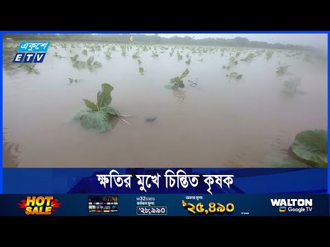 টানা বৃষ্টিতে শীতকালীন সবজিসহ ফসলের ব্যাপক ক্ষতি