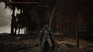 Me n twin jump Malenia