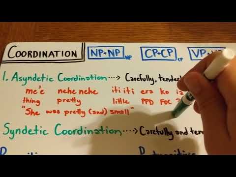 Typology of Coordination (Linguistics) Mini-Lesson
