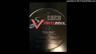 papo sanchez - aguas puras - georgies latin love dub