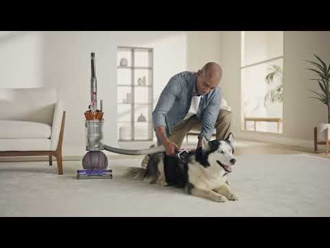 Dyson Ball Animal 3 Extra Upright Vacuum with 7 Tools on QVC