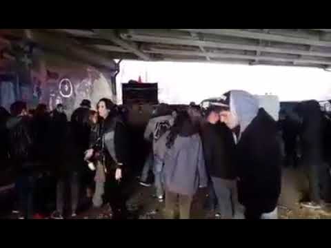 ZWZ - X - WTF SOUNDSYTEM FREE PARTY