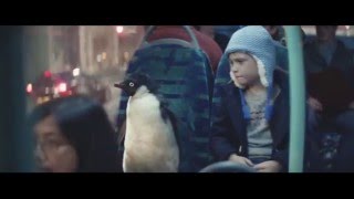 John Lewis - Publicité Noël 2014 - Monty le Pingouin