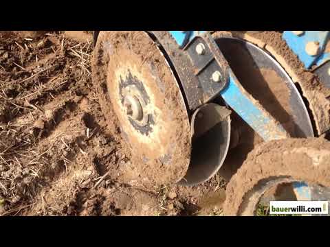 Wir säen Wintergerste