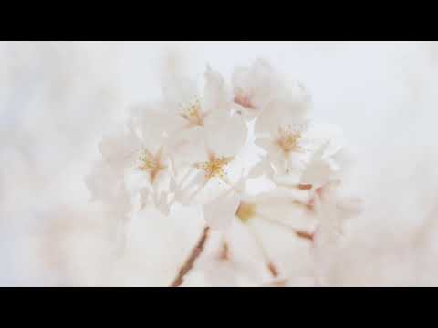 download lagu mp3 mp4 Fertility Health Coach, download mp3 Fertility Health Coach free downloadn, video klip Fertility Health Coach