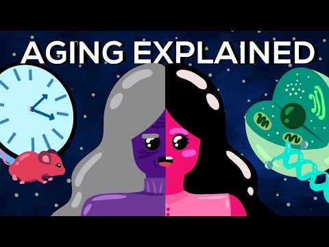 Why Do We Age? Can We Stop It? || Breakthrough Junior Challenge 2021