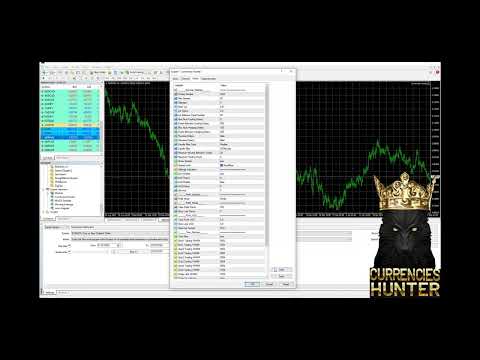 Video Currencies Hunter Mt5
