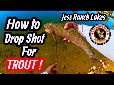 How to drop shot for trout ! Jess Ranch Lakes Apple Valley CA