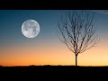 George Winston's Variations on the Kanon by Pachelbel, piano with flute obbligato