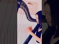 Celso Fonseca - Na Pele De Um Flaneur (harp cover short)