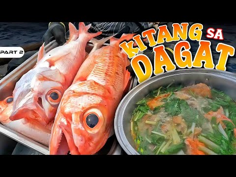 P2-KITANG SA DAGAT - EP1143