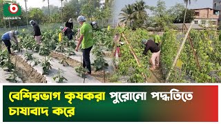 বেশিরভাগ কৃষকরা পুরোনো পদ্ধতিতে চাষাবাদ করে |