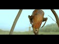 Tamil Hot Songs
