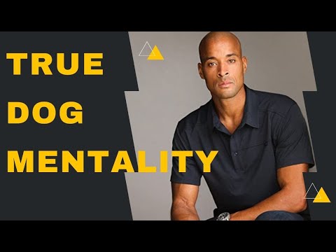 David Goggins -  TRUE DOG MENTALITY (Best Motivational Video)