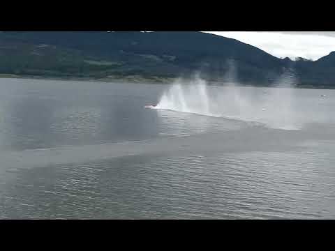 MY BLACKJACK 42 FASTER THAN EVER.