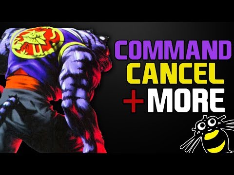 Command Cancel, Counter Hit, and More | Bloody Roar Guides | JERITHEOG