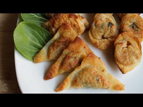 Fried Vegetable Dumplings Recipe | The Sweetest Journey